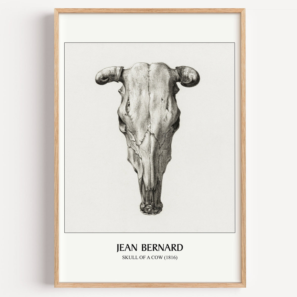 Jean Bernard Skull of a Cow drawing print in a light oak frame on a white wall