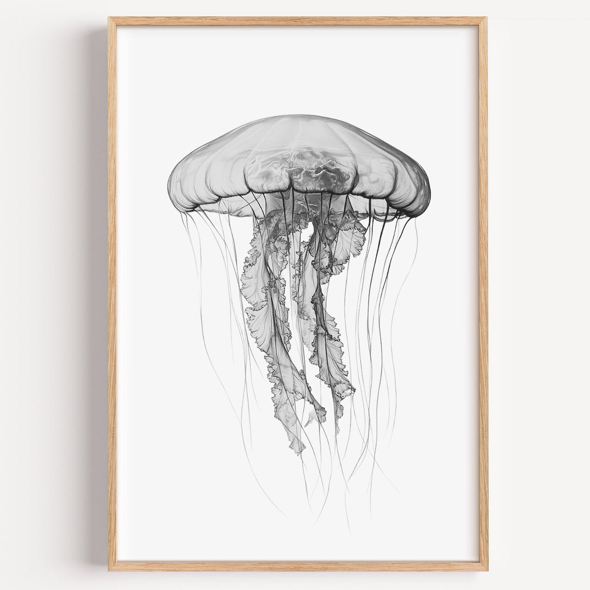 Jellyfish pencil drawing on white print in a light oak frame on a plain white wall