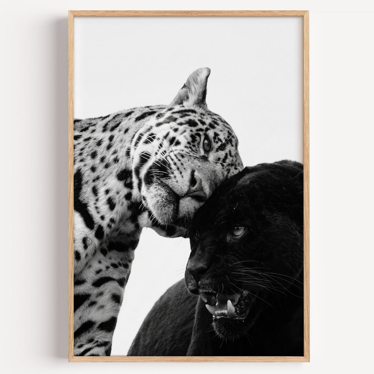 Leopard nuzzling black panther close-up print in a light oak frame on a plain white wall
