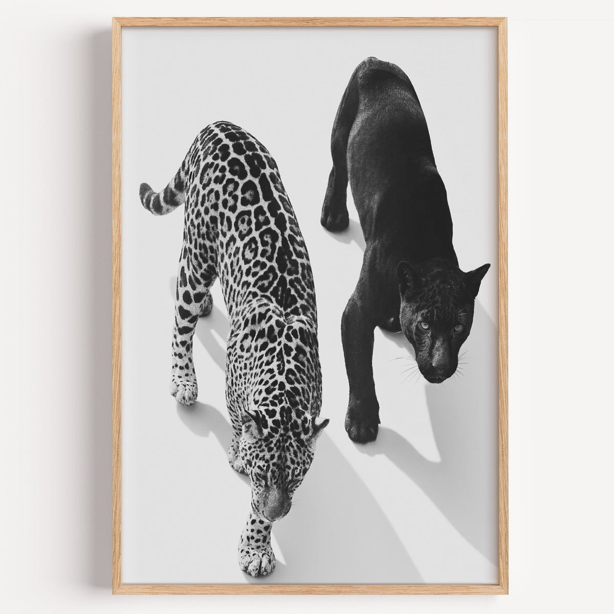 Overhead view of leopard and black panther print in a light oak frame on a plain white wall