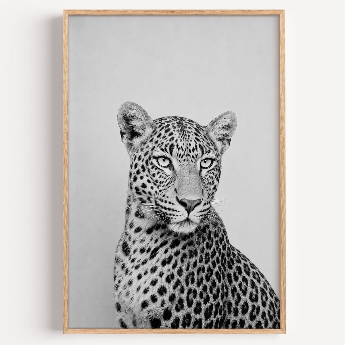 Seated leopard glancing to the side on gray wall print in a light oak frame on a plain white wall