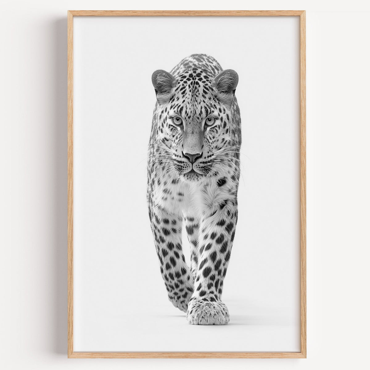 Leopard walking toward viewer black and white print in a light oak frame on a plain white wall