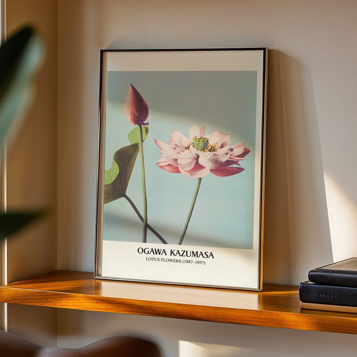 Lotus Flowers print in a black frame on a walnut shelf in warm evening light