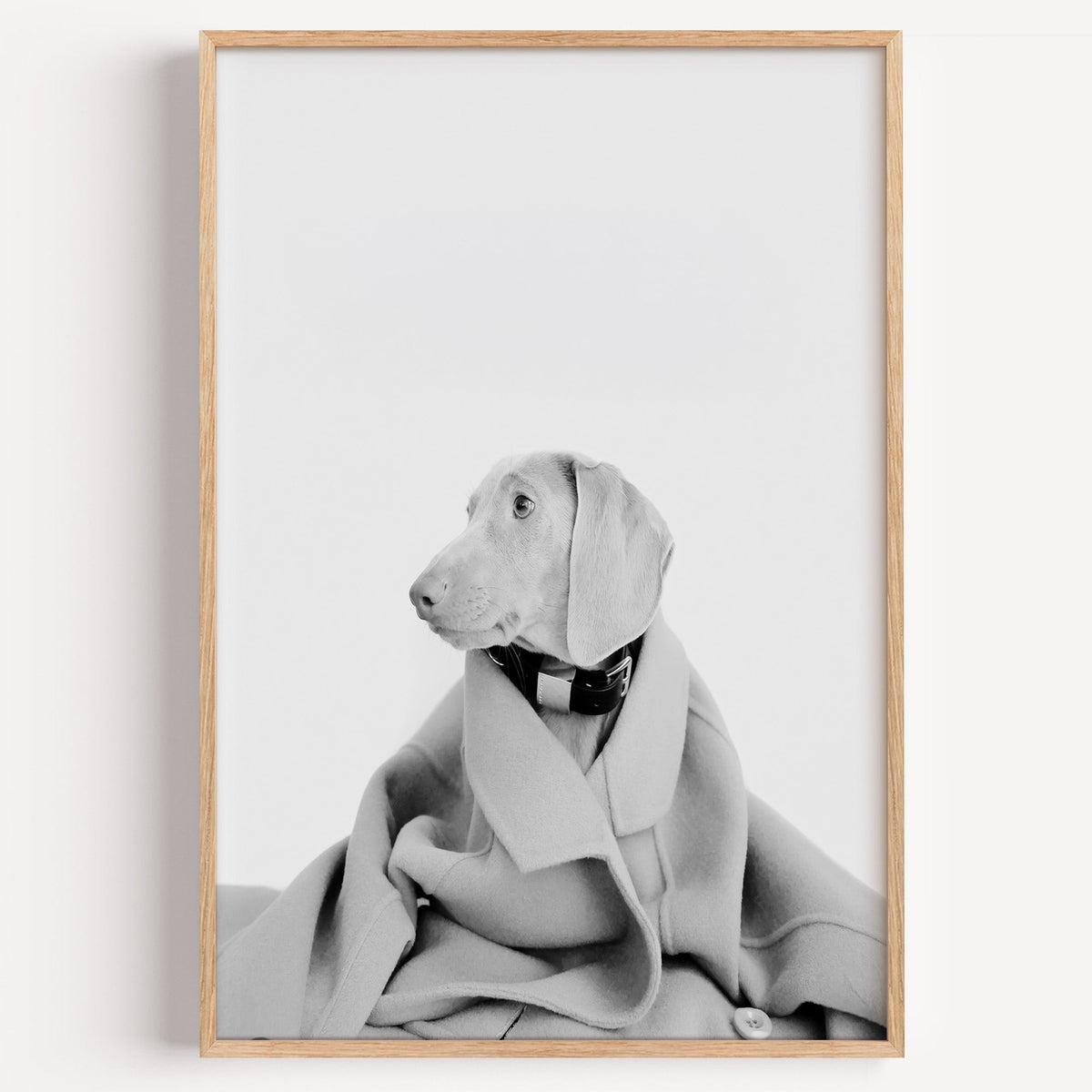 Puppy in oversized wool coat on light gray print in a light oak frame on a plain white wall