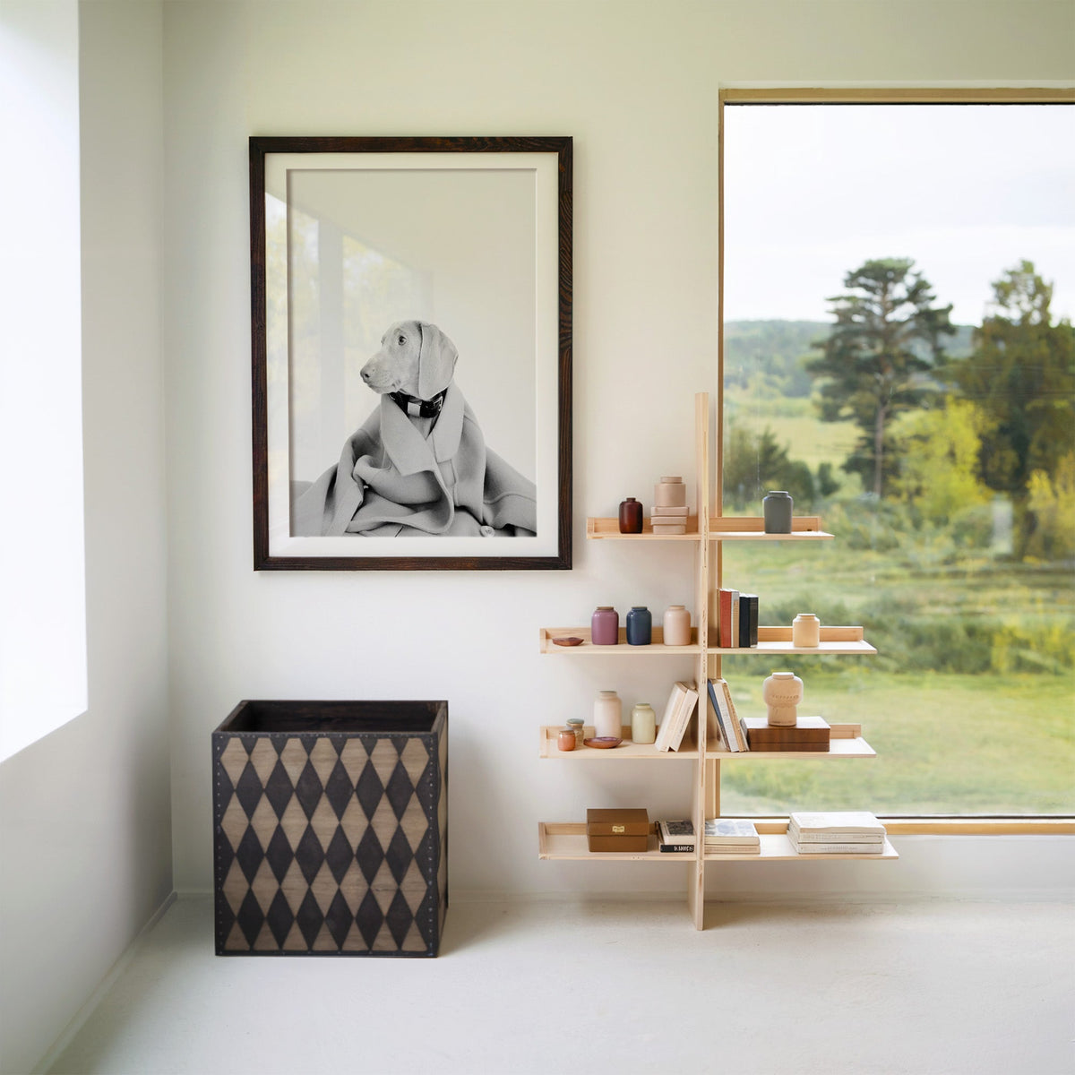 Puppy in oversized wool coat on light gray print in a walnut frame with a white mat beside wooden shelves and a garden window