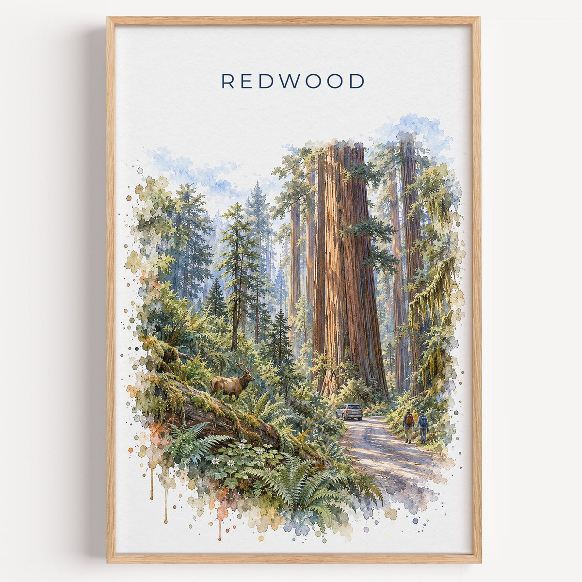 Redwood National Park watercolor print in a light oak frame on a plain white wall