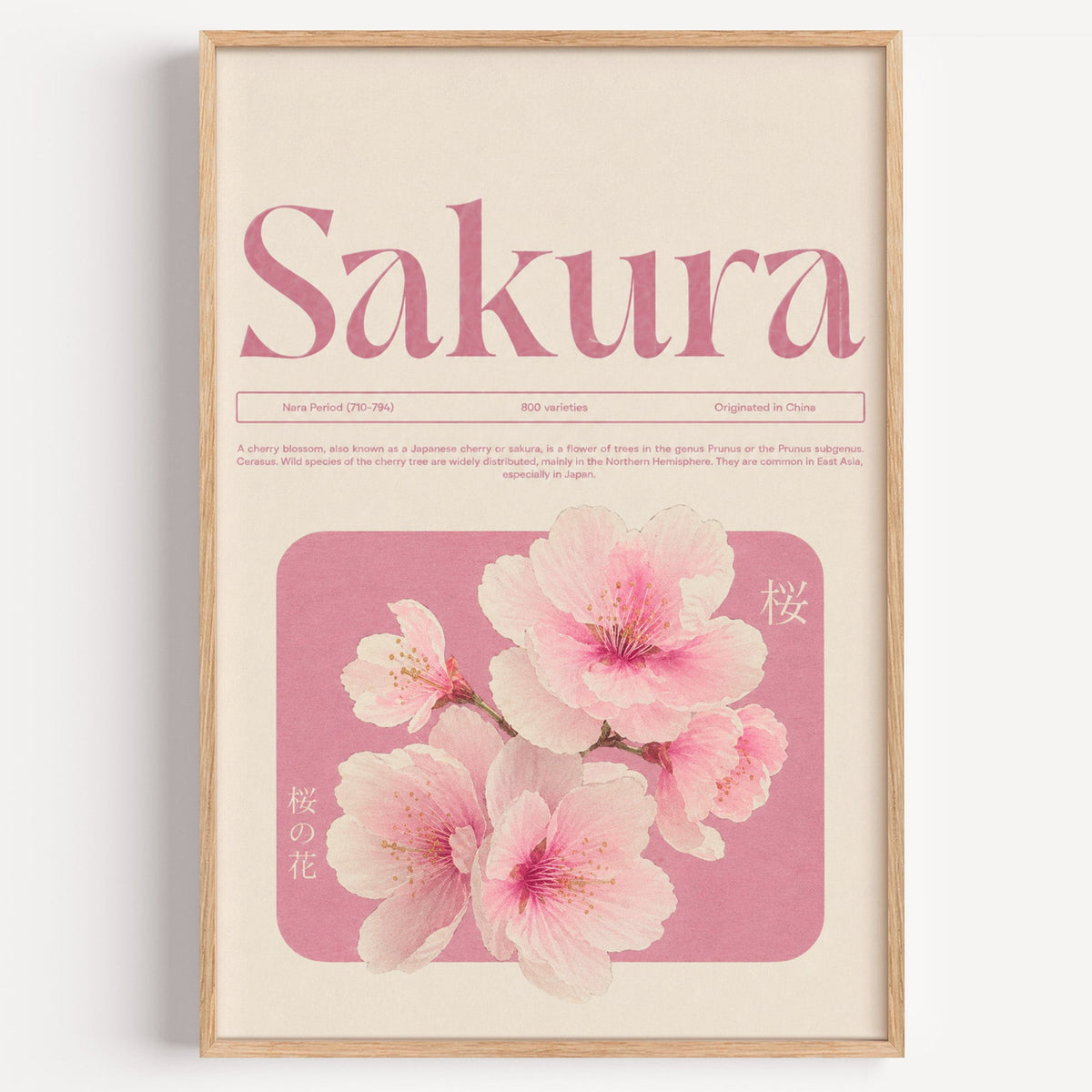 pink sakura blossom typography print in a light oak frame on a plain white wall