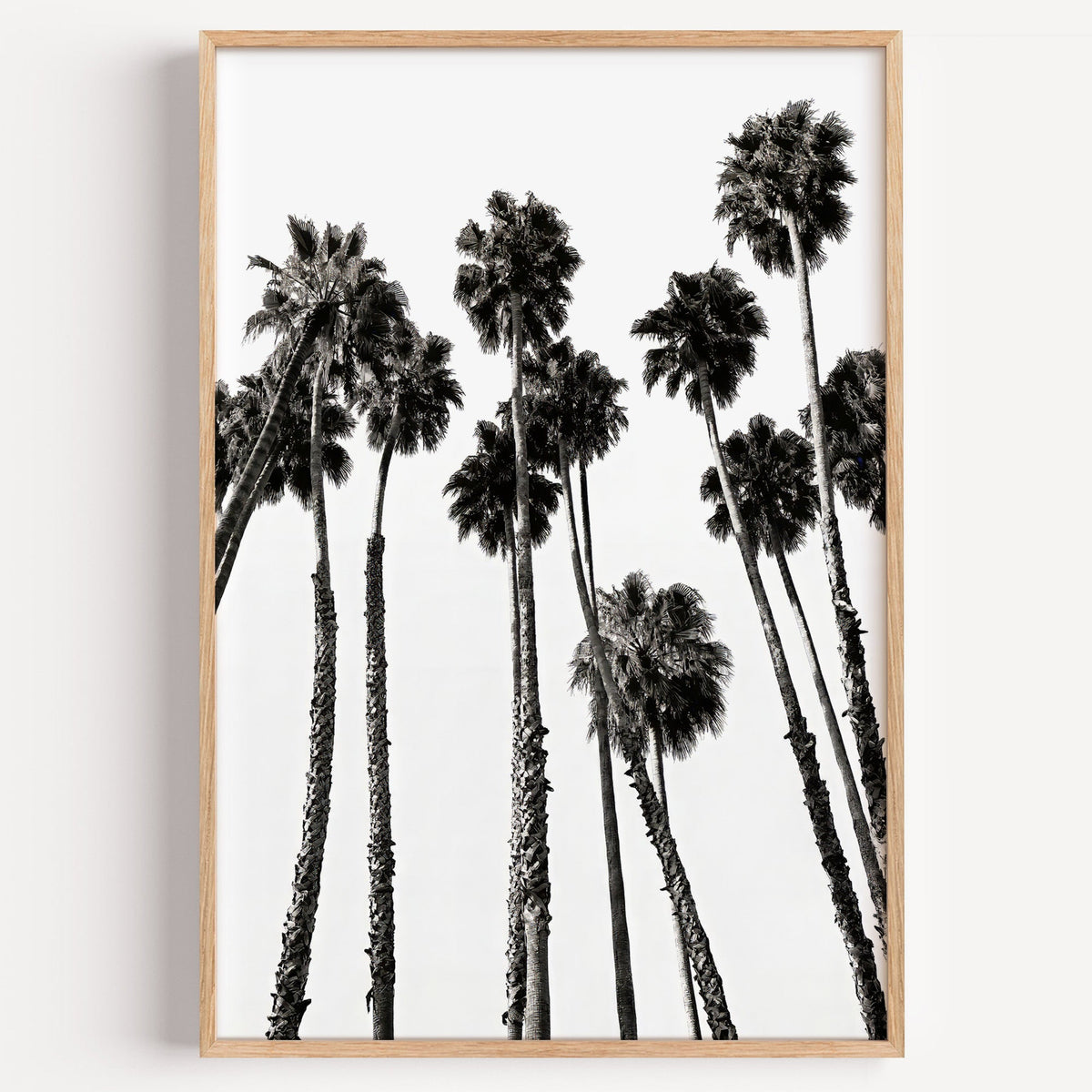 Dense fan palm grove seen from below print in a light oak frame on a plain white wall