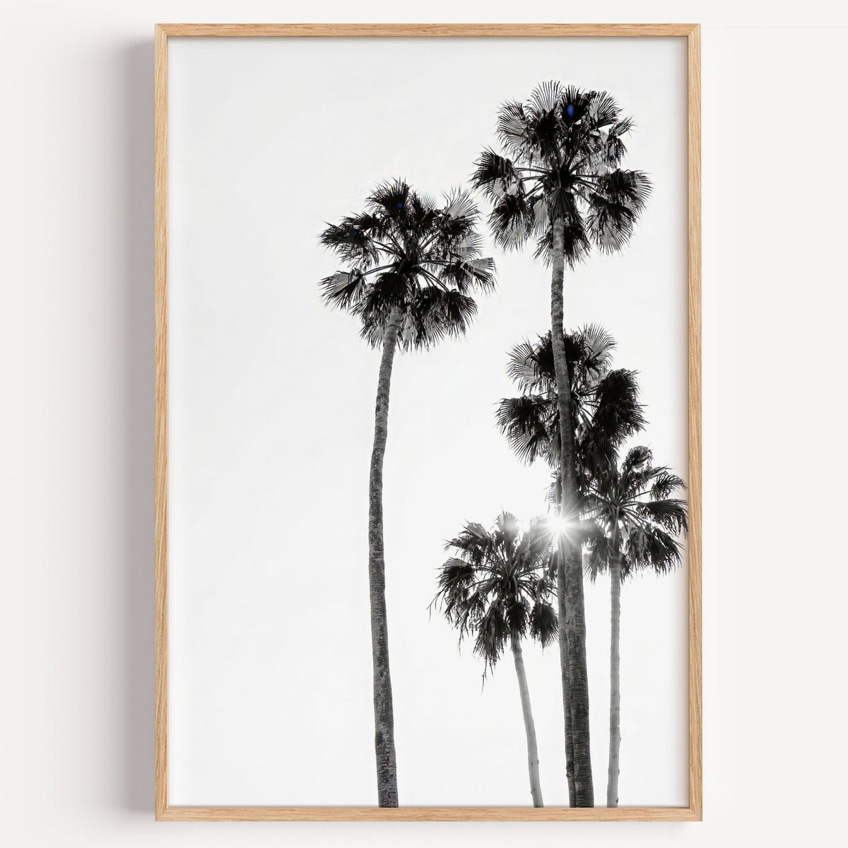 Five tall fan palms with sun flare print in a light oak frame on a plain white wall