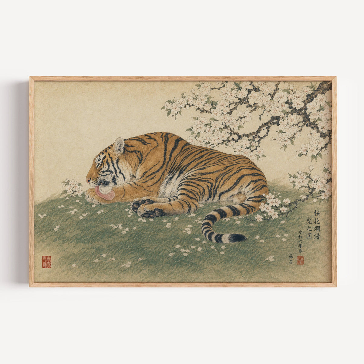 Tiger resting under cherry blossoms print in a light oak frame on a plain white wall