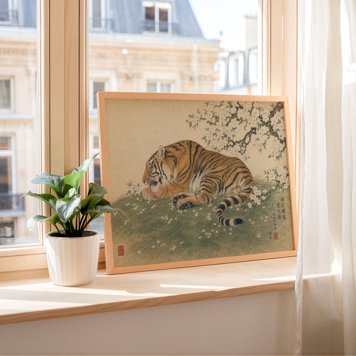 Tiger resting under cherry blossoms print in a light wood frame leaning on a sunny windowsill by sheer curtains