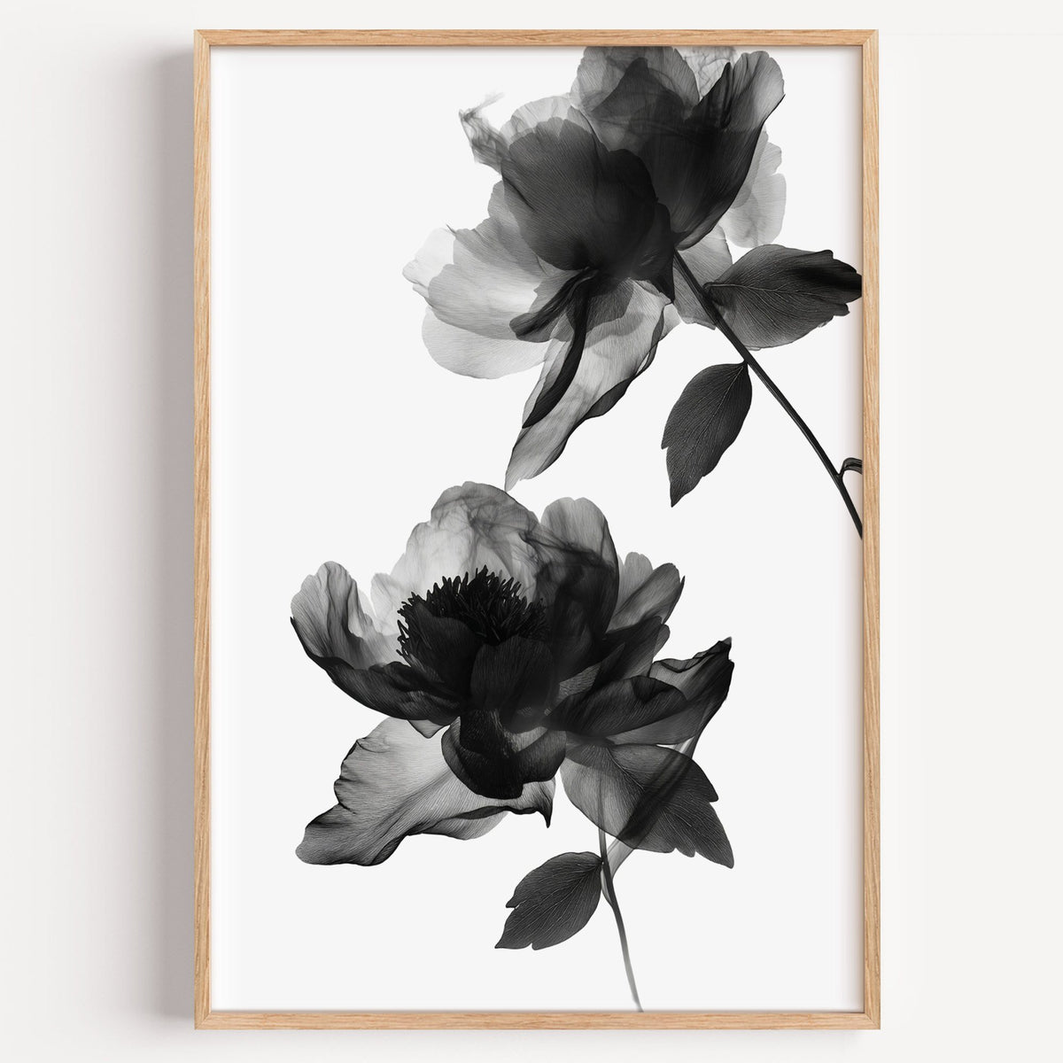 Two translucent X-ray flowers on white print in a light oak frame on a plain white wall