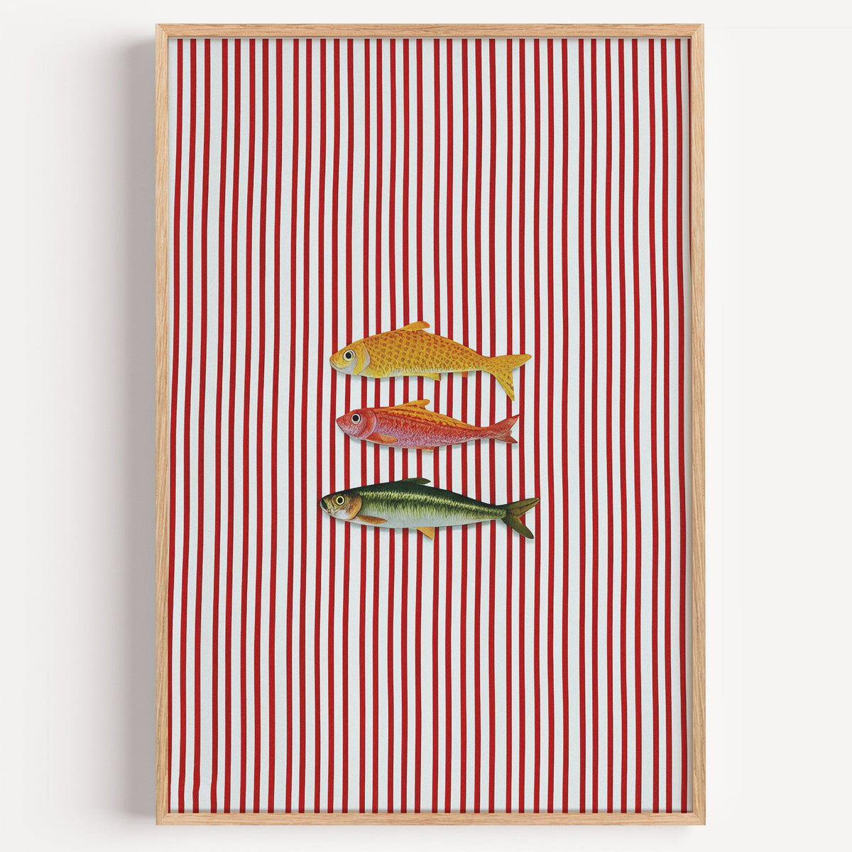 Vintage fish red stripe print in a light oak frame on a plain white wall